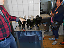 Grillfest mit Üngsterode 2015
