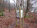 Winterwanderung 2015